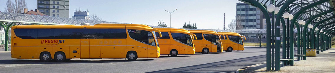 RegioJet obnovuje provoz vybraných mezinárodních autobusových linek